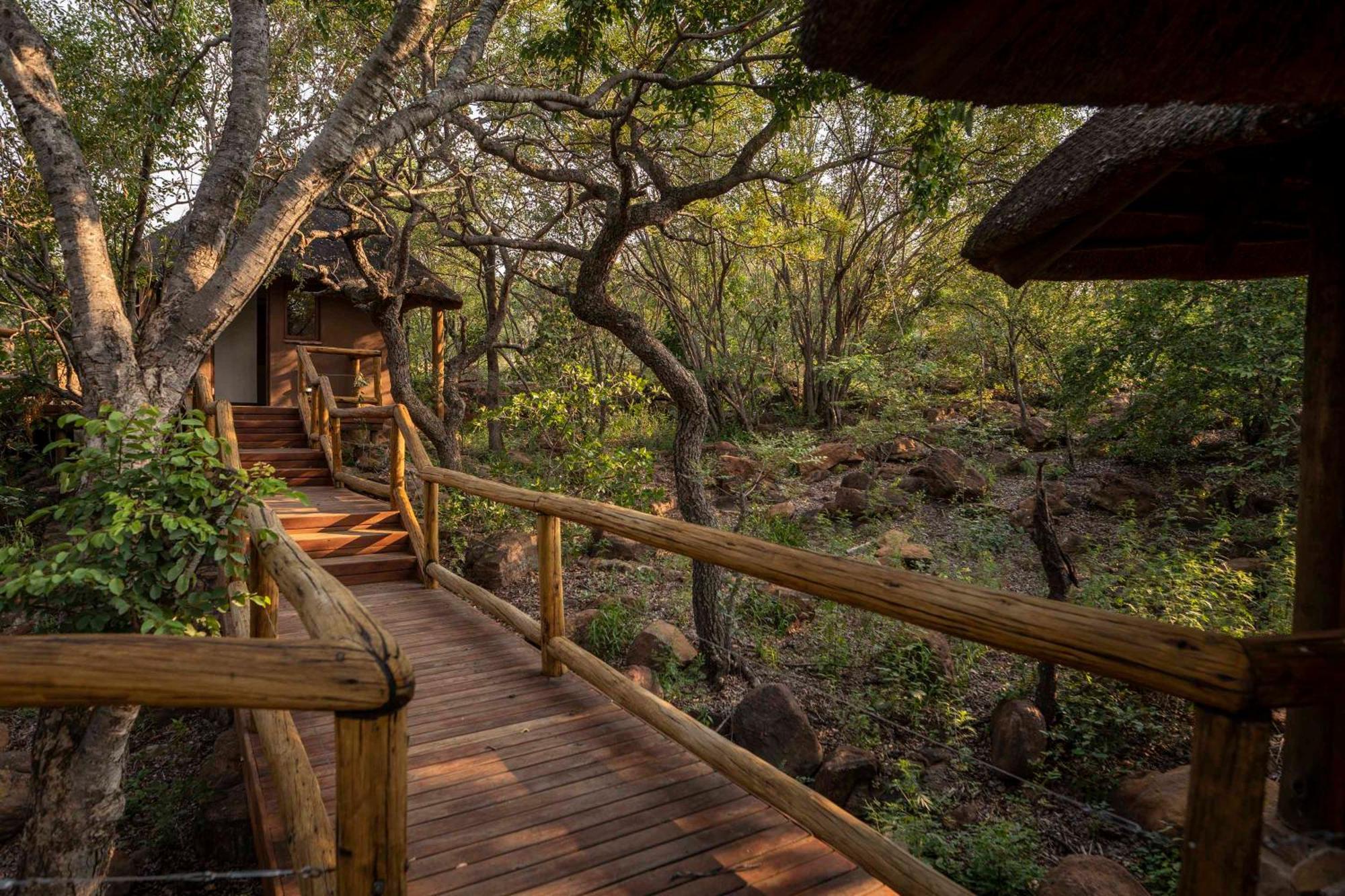 Tshwene Lodge Vaalwater Dış mekan fotoğraf