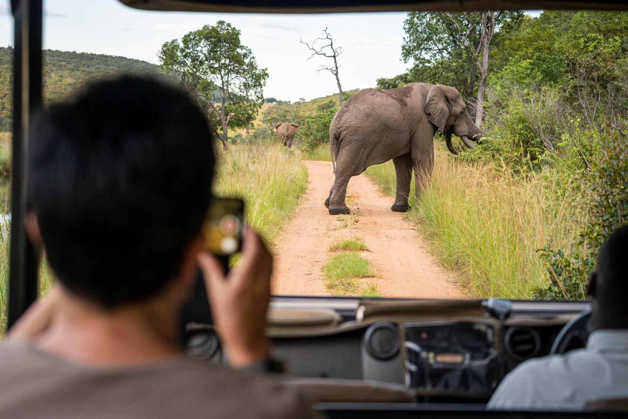 Tshwene Lodge Vaalwater Dış mekan fotoğraf