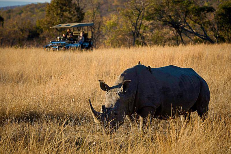 Tshwene Lodge Vaalwater Dış mekan fotoğraf