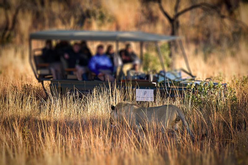 Tshwene Lodge Vaalwater Dış mekan fotoğraf